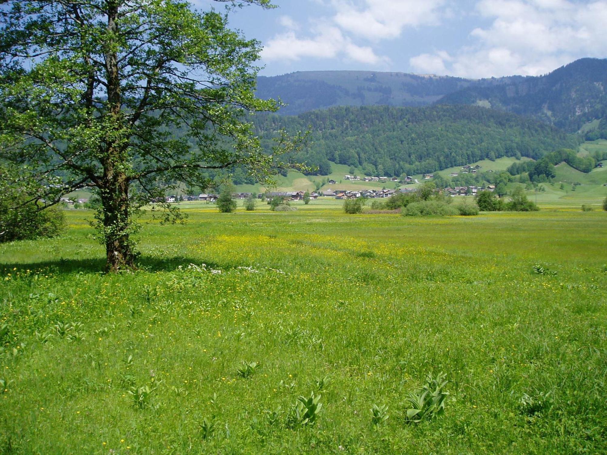 Gasthof Taube Bizau Luaran gambar